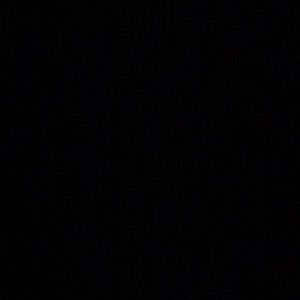 Meet your Posher, Jayla